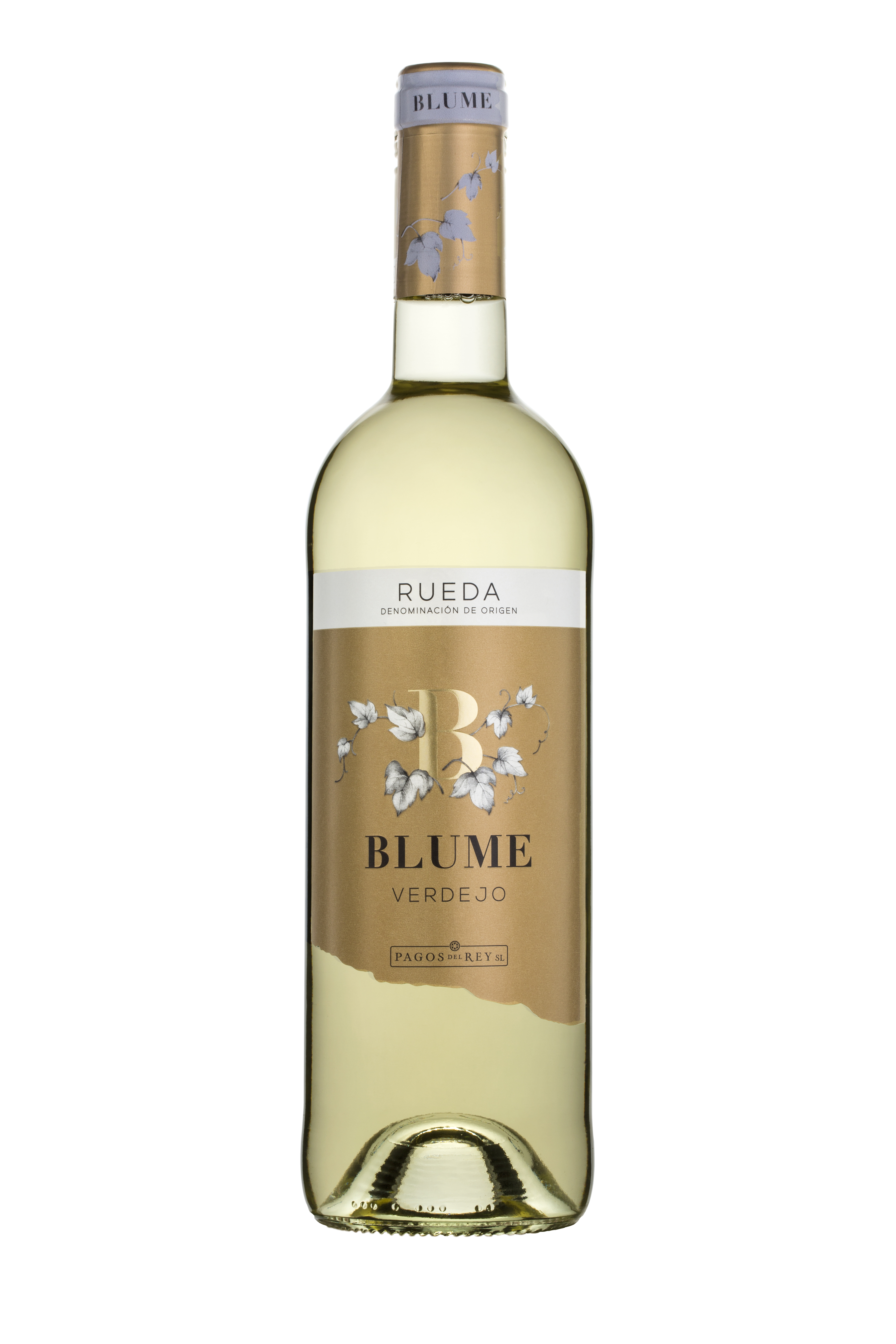 Blume Verdejo