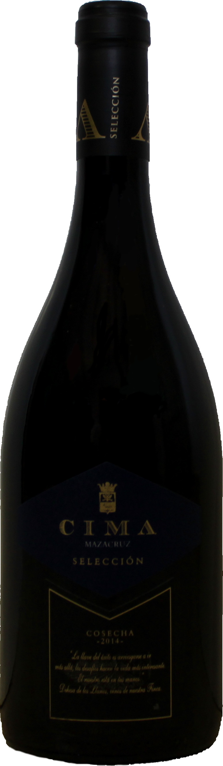 Mazacruz Seleccion