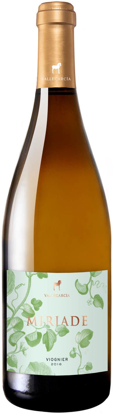 Miriade