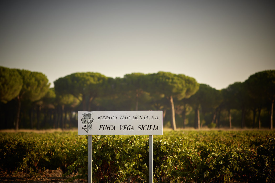 Vega Sicilia Único