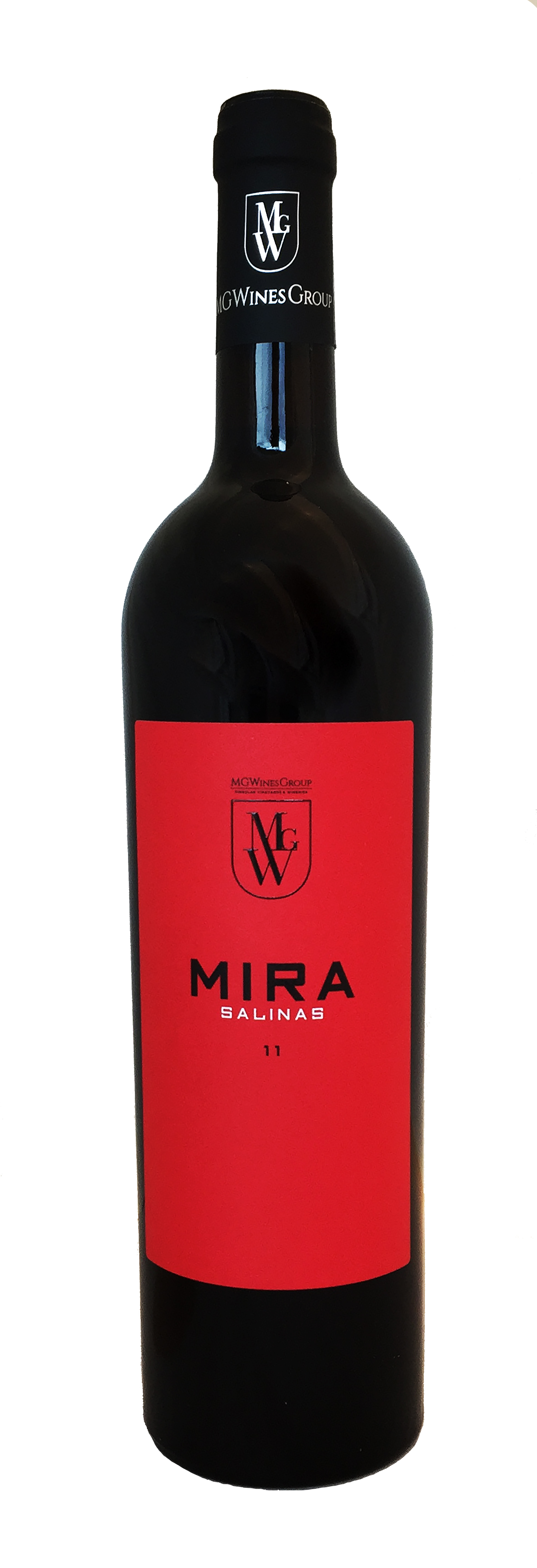 Mira Salinas