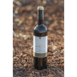 Payva