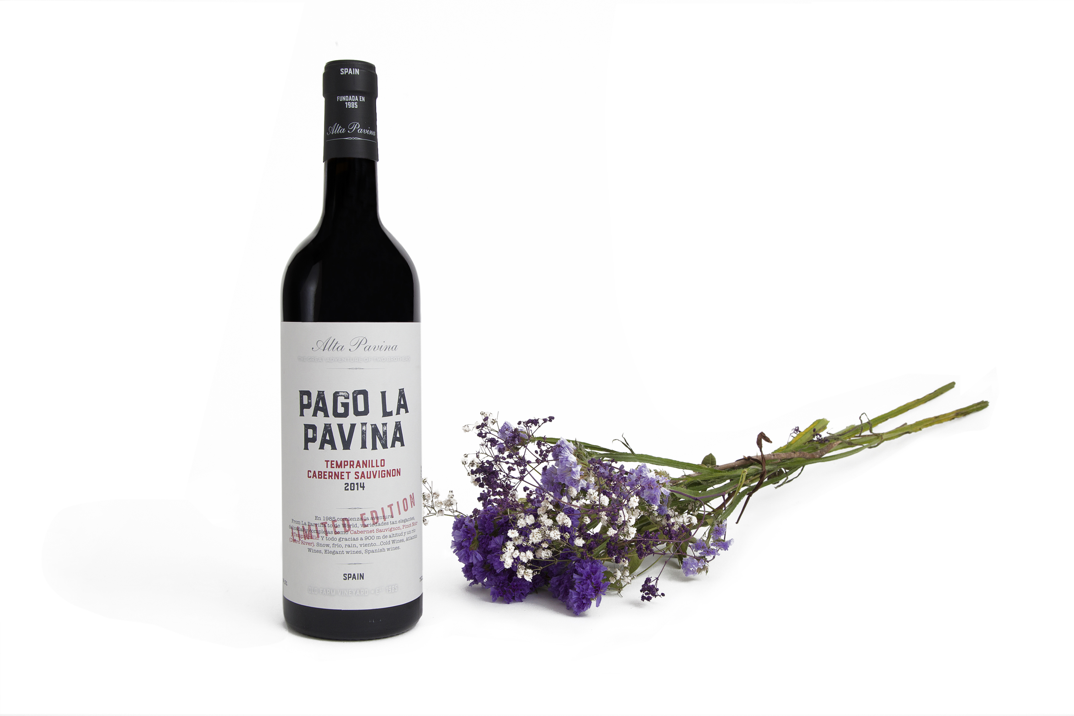 Pago La Pavina