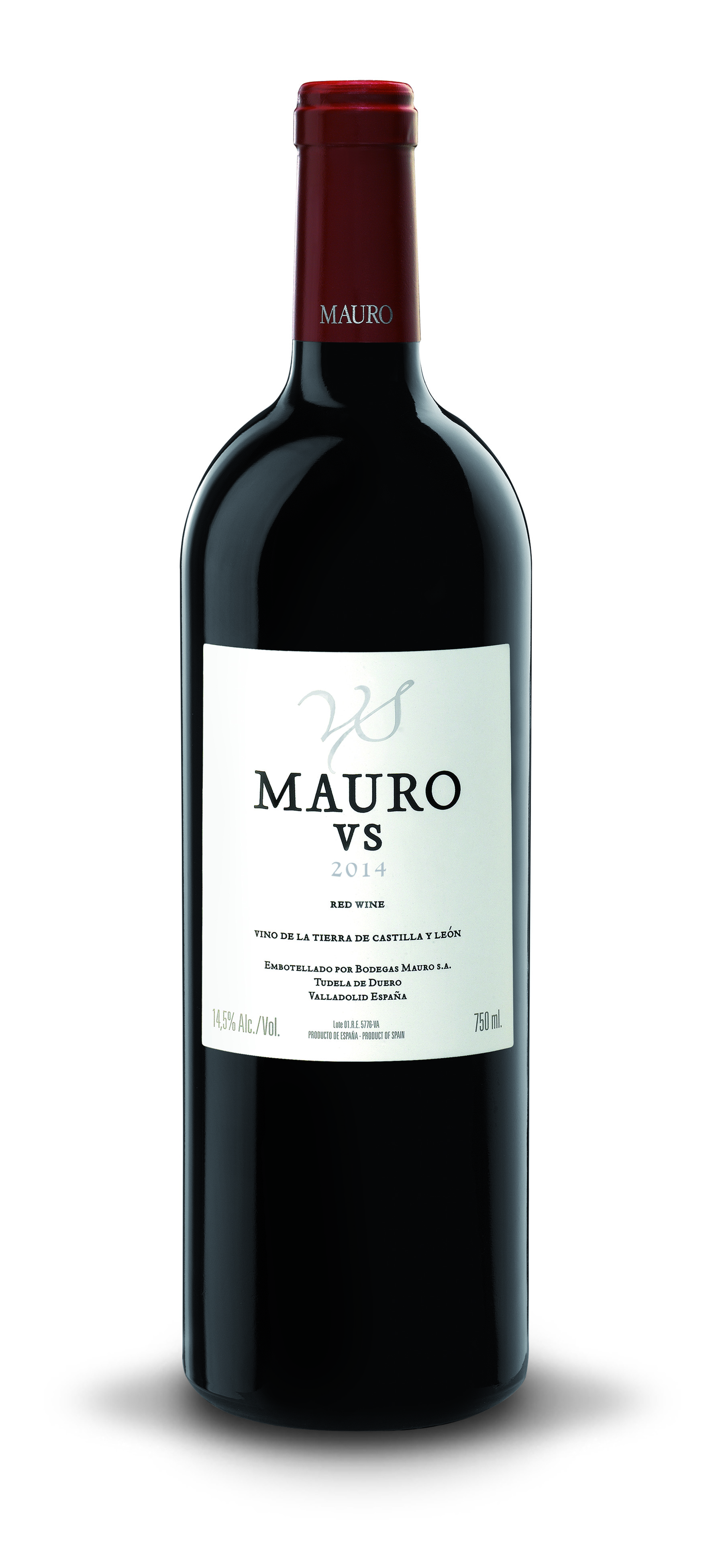 Mauro V.S.2014