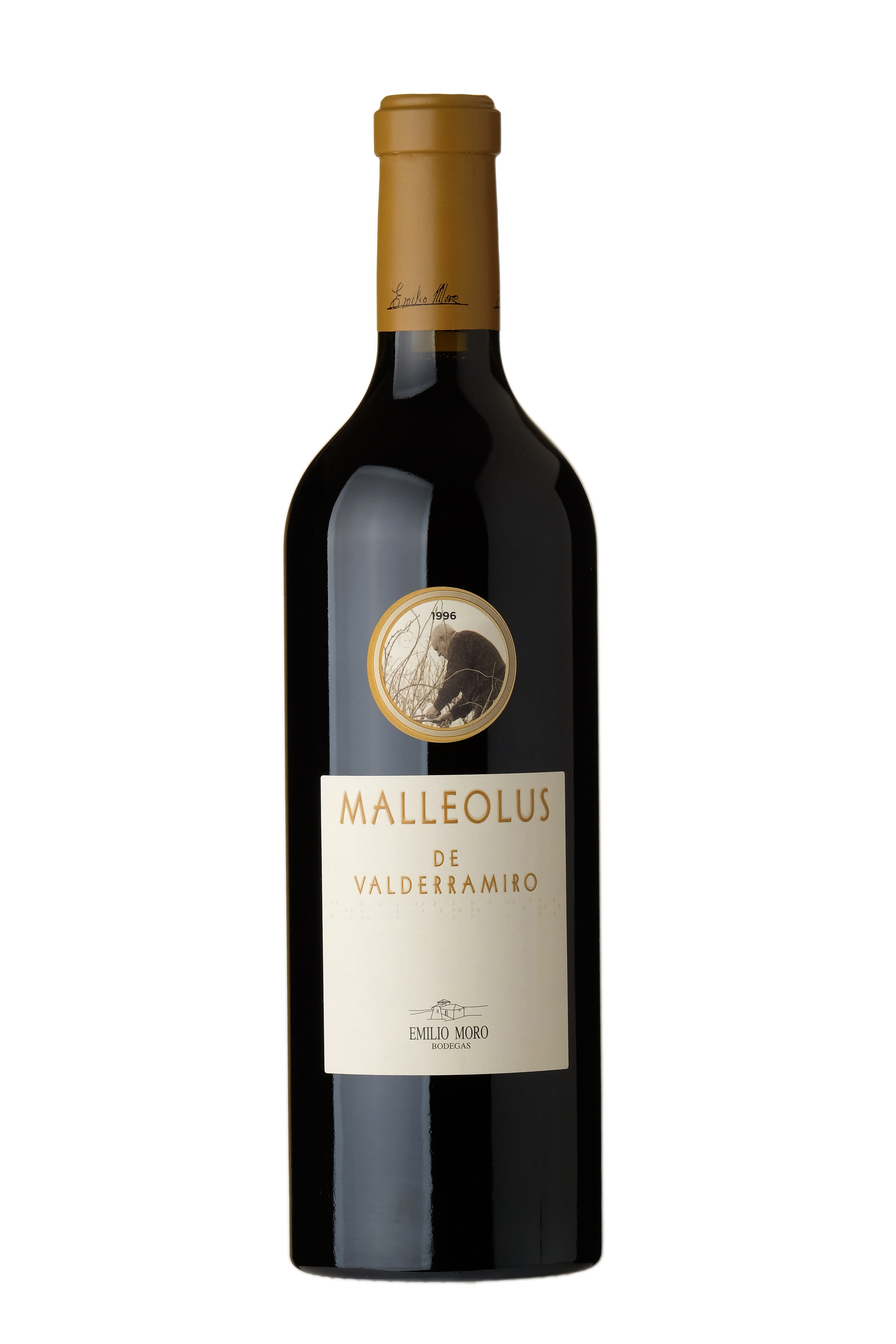 Malleolus de Valderramiro