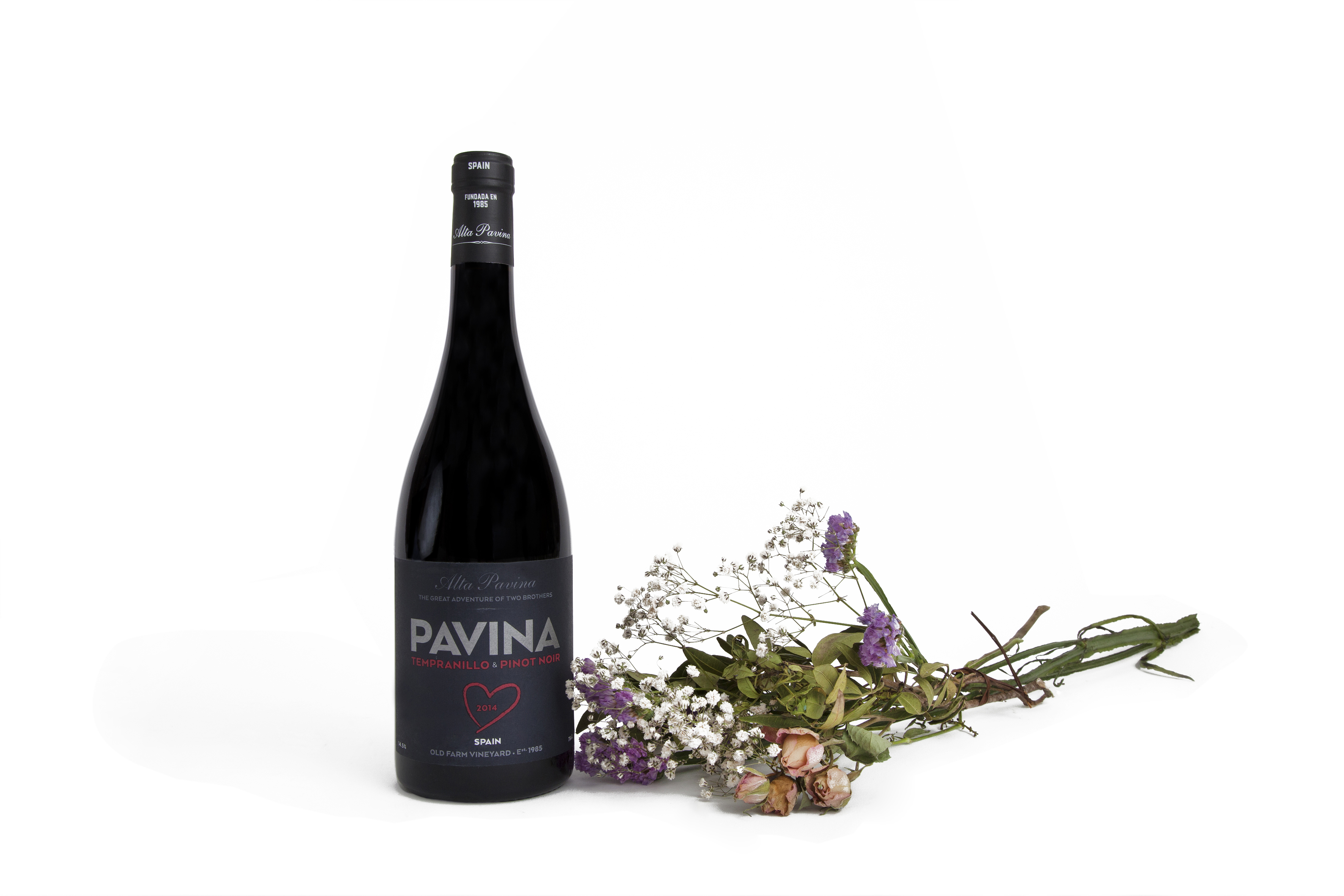 Pavina 2014