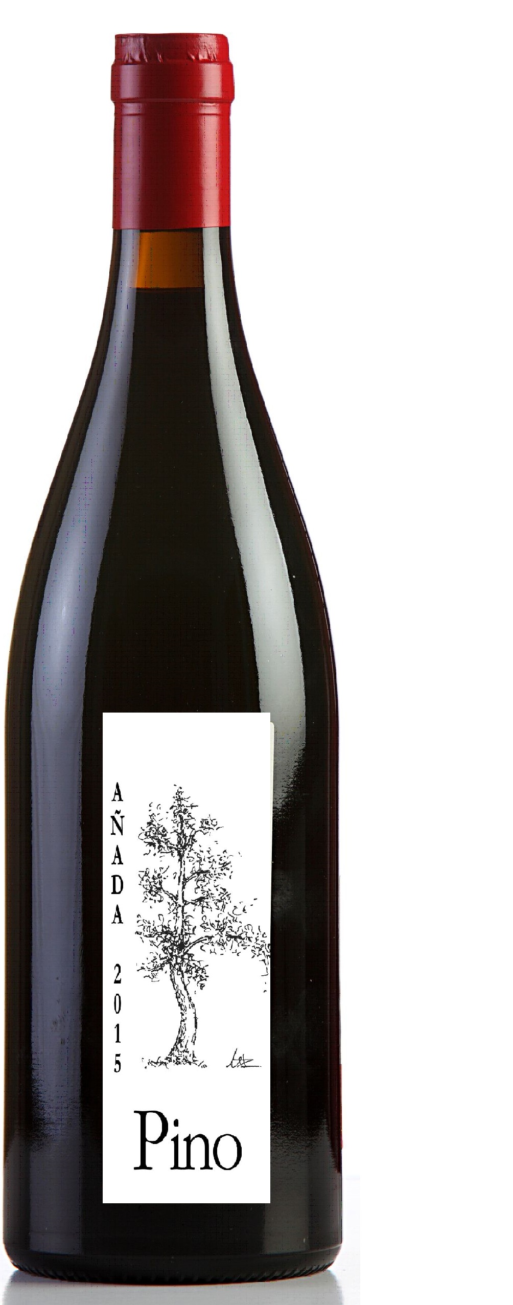 Pino 2016