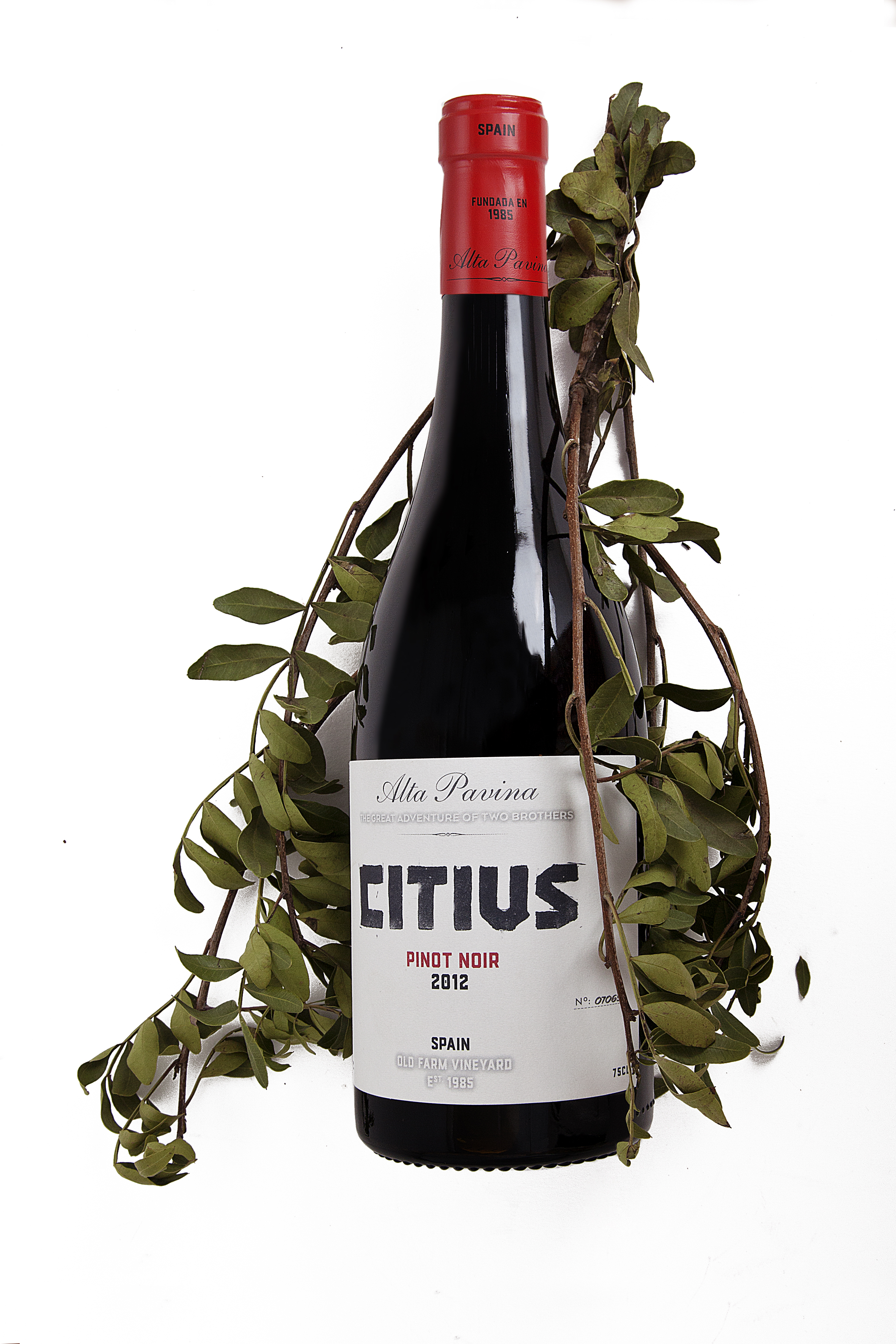 Alta Pavina Pinot Noir Citius
