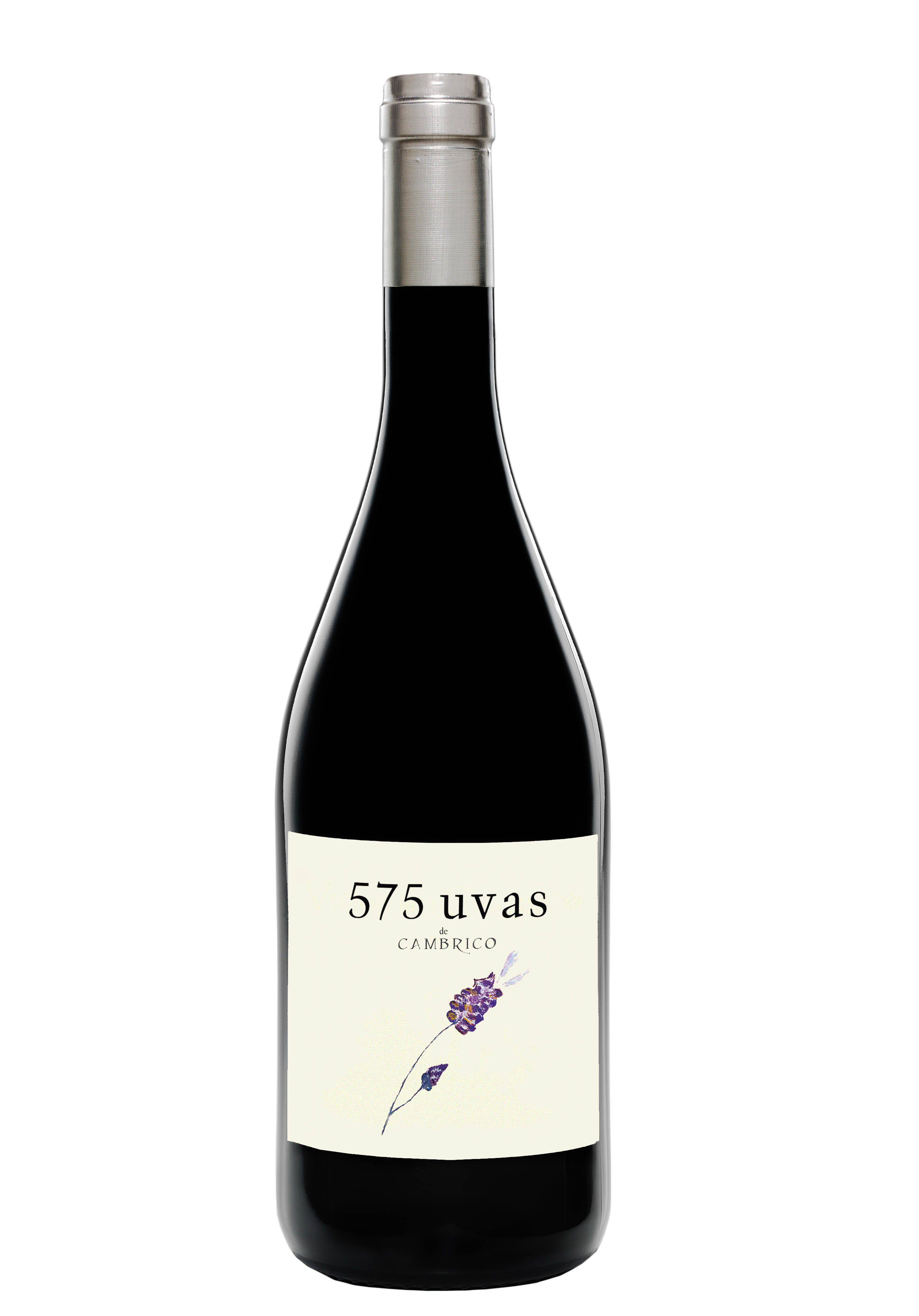 575 Uvas de Cámbrico 2014