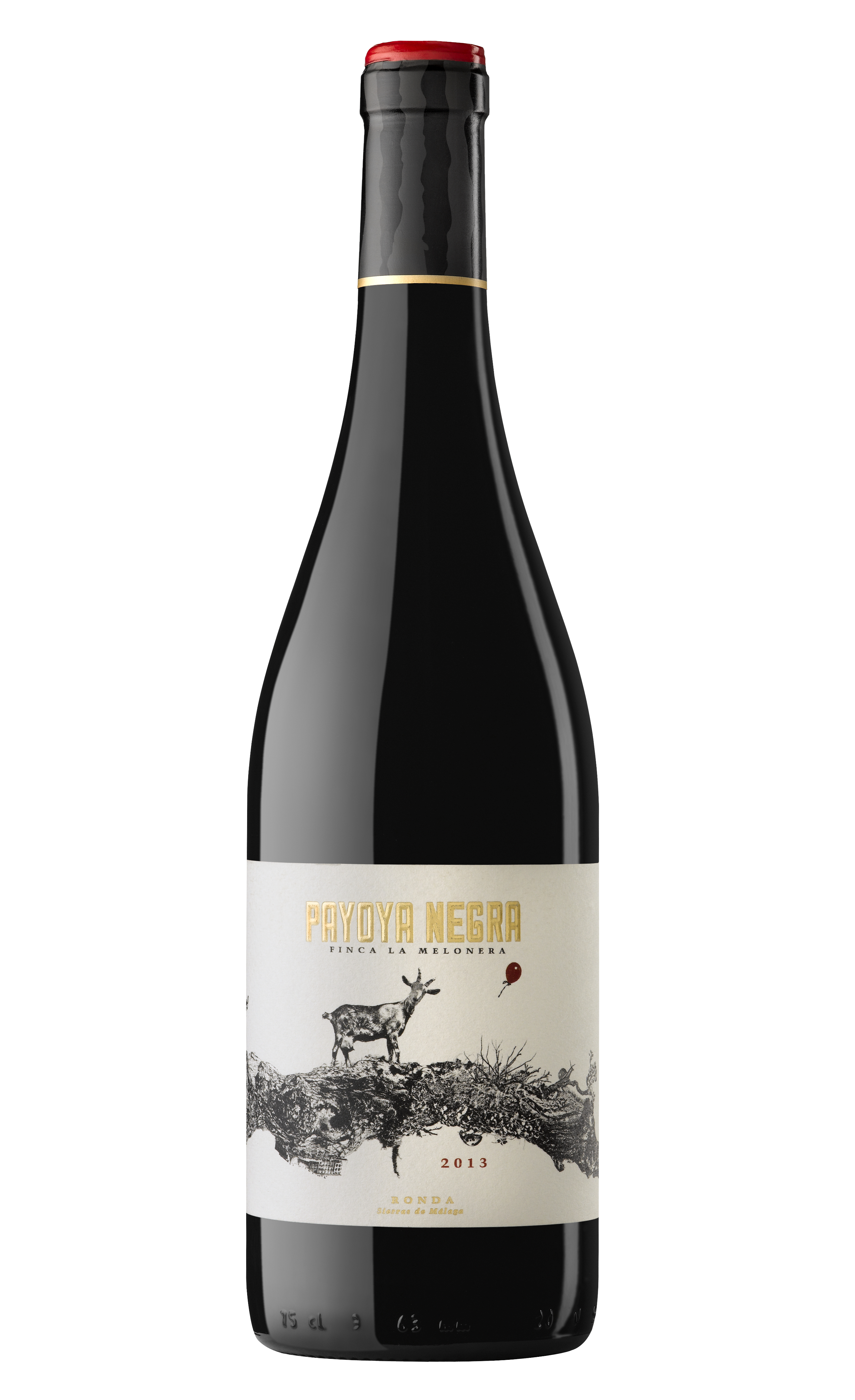 Payoya Negra