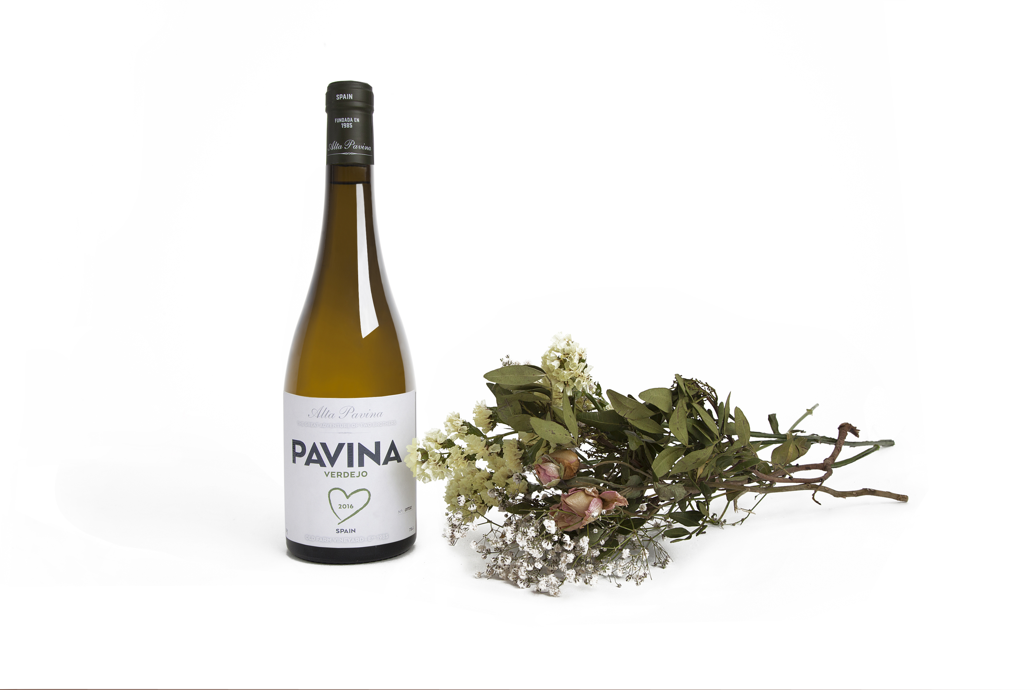 Pavina Verdejo
