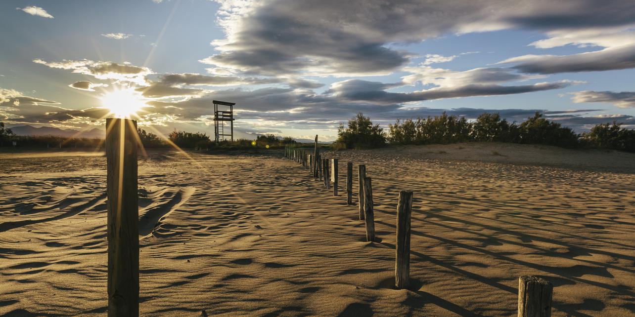 Parc Natural de Els Aiguamolls de l'Empordà (Parque Natural de los Aiguamolls del Empordà) Parc Natural de Els Aiguamolls de l'Empordà (Parque Natural de los Aiguamolls del Empordà)