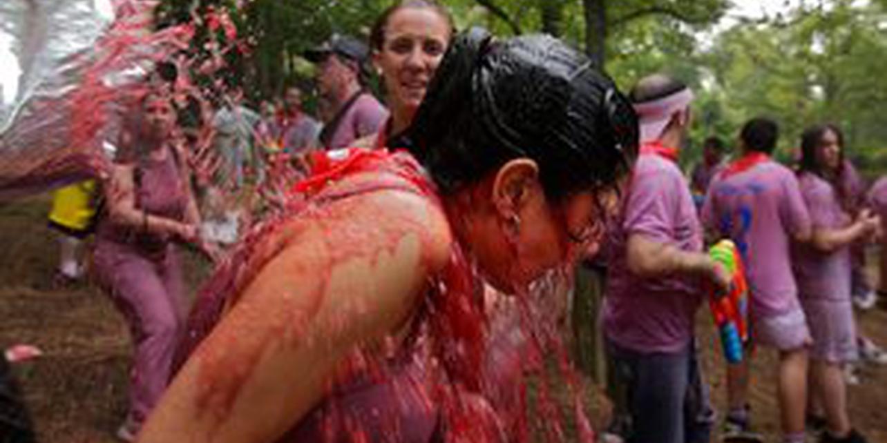Batalla del Vino Batalla del Vino