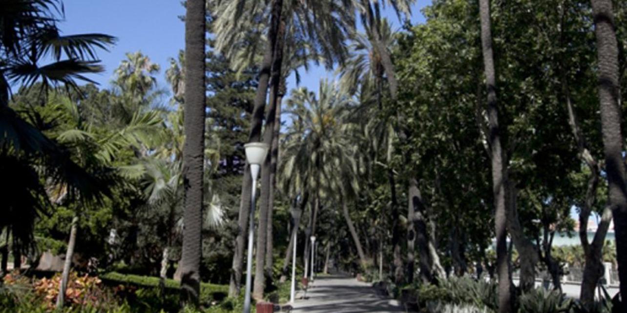El Parque de Málaga El Parque de Málaga