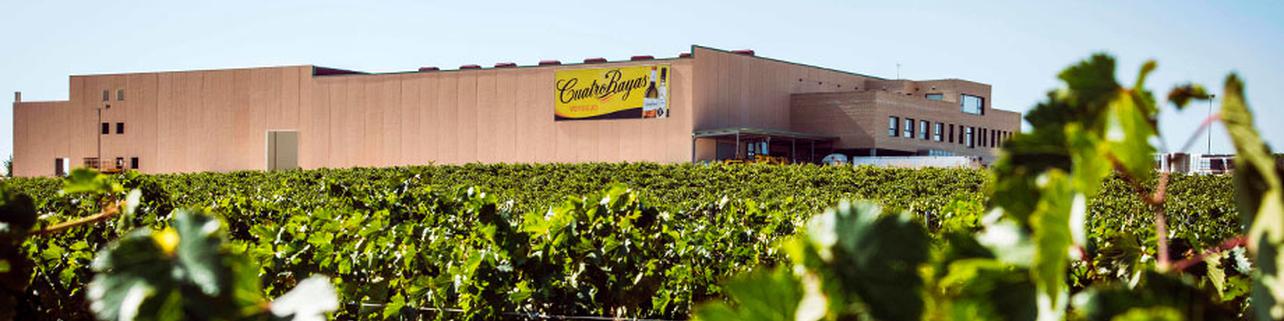 Bodega Cuatro Rayas Bodega Cuatro Rayas
