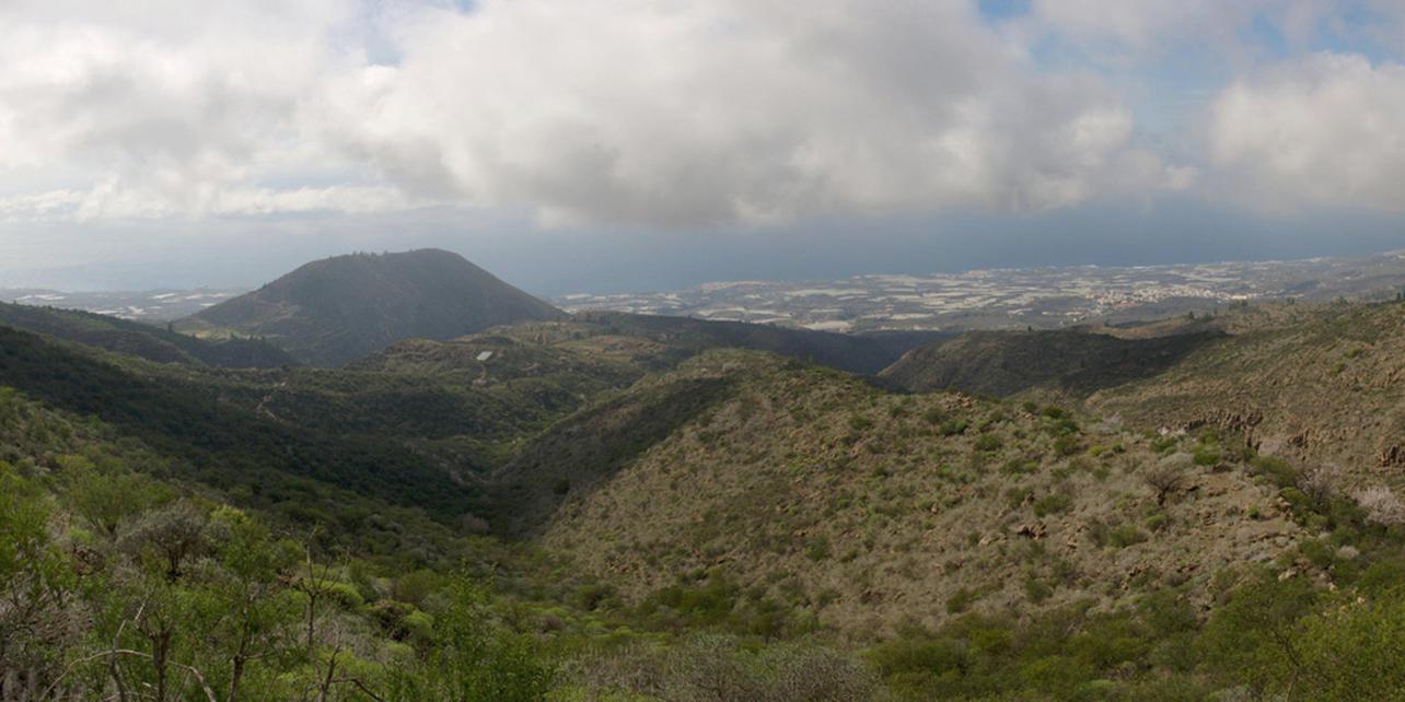 Montaña Tejina Montaña Tejina