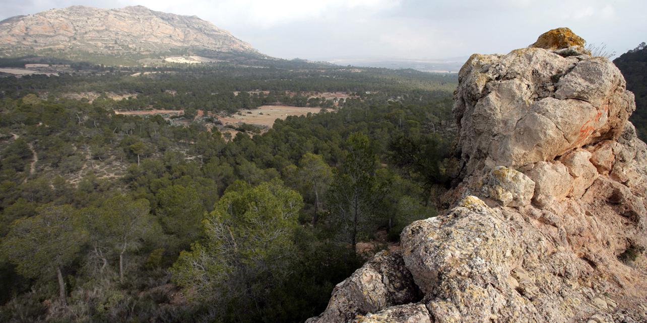 Paraje de la Toconera Paraje de la Toconera