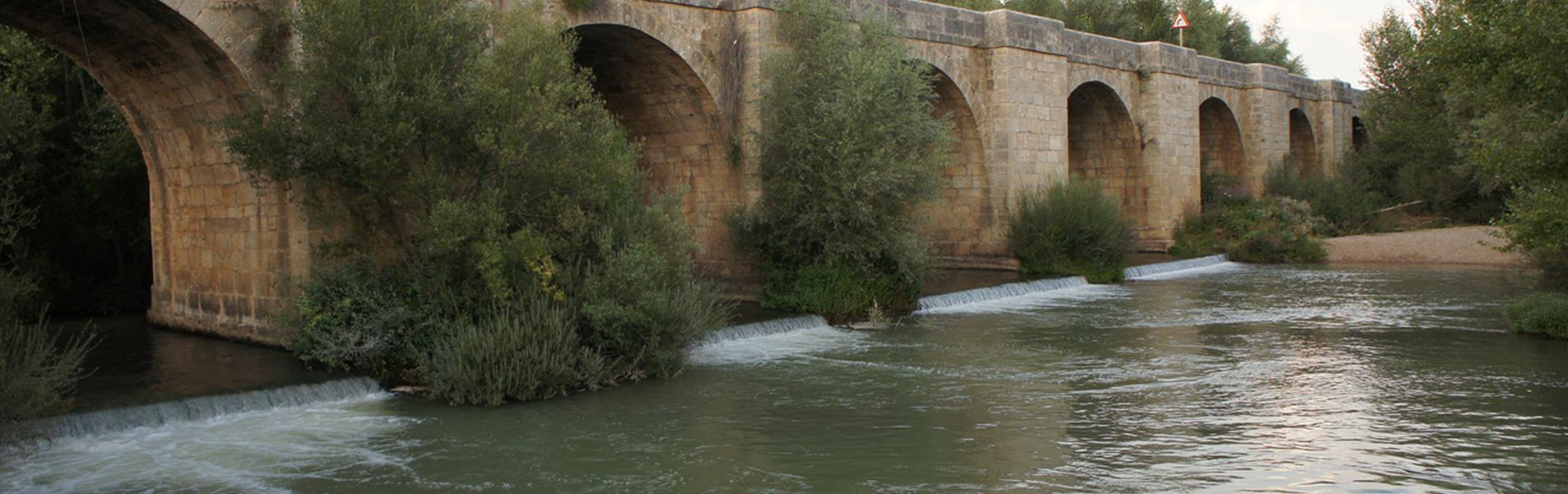 Cordovilla la Real Guía Repsol