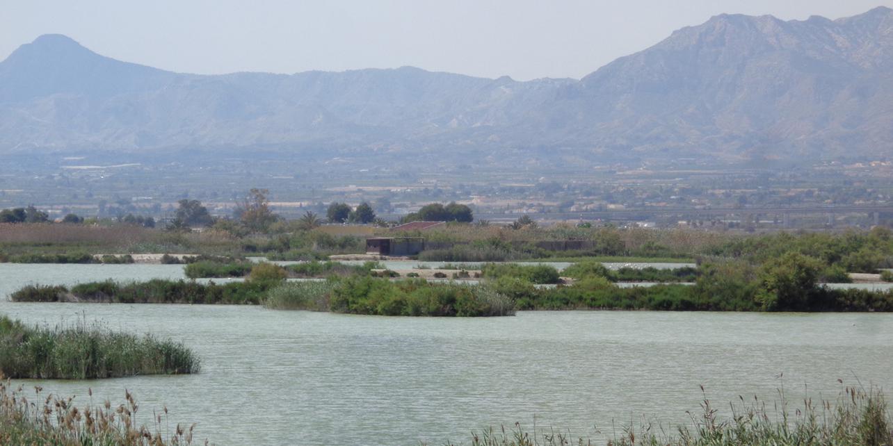 Parque Natural de El Hondo Parque Natural de El Hondo