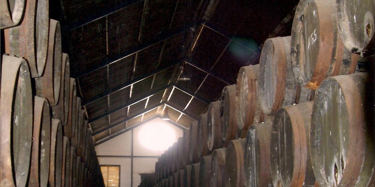Museo del Moscatel Museo del Moscatel