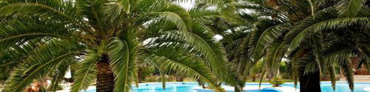Agroturismo Finca Sa Tanca Agroturismo Finca Sa Tanca