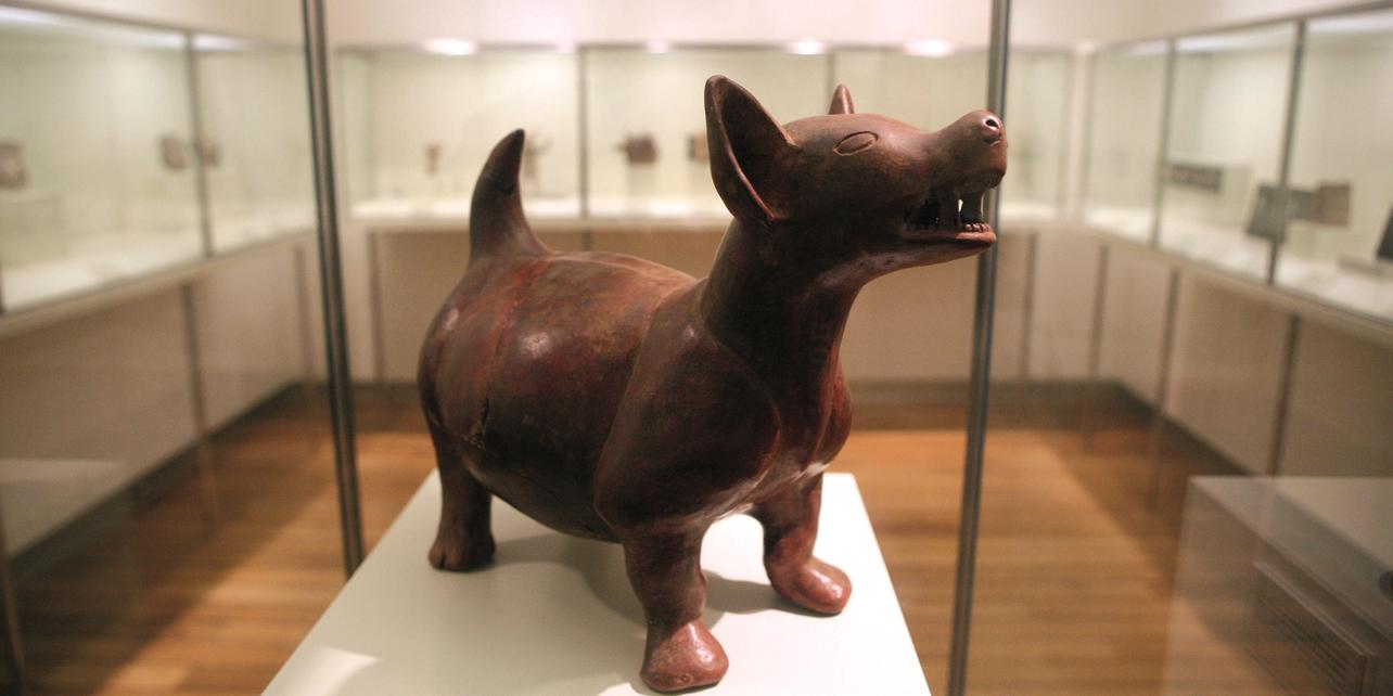 Museo Precolombino Felipe Orlando Museo Precolombino Felipe Orlando