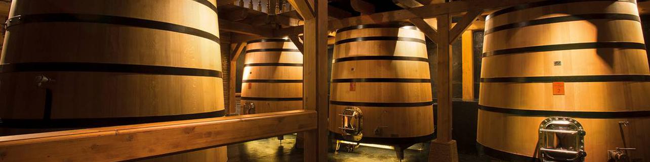 Bodegas Izadi Bodegas Izadi