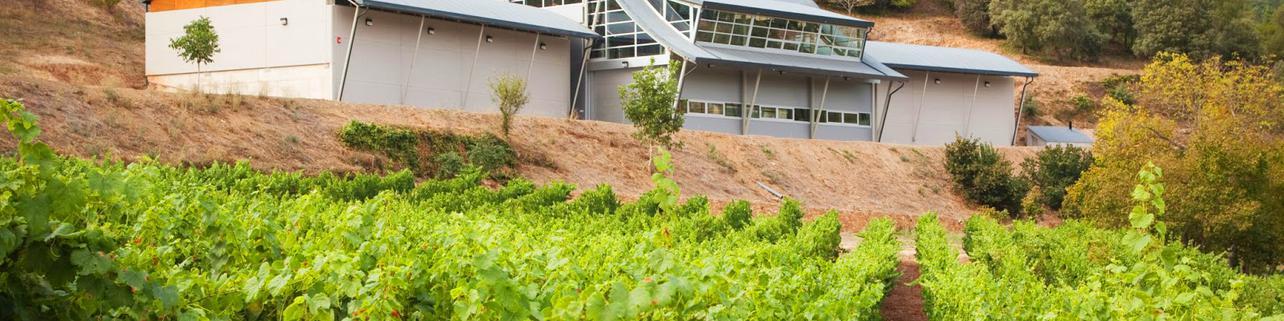 Bodegas Godeval Bodegas Godeval