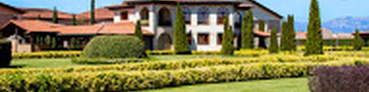 Bodegas Altanza S.A Bodegas Altanza S.A
