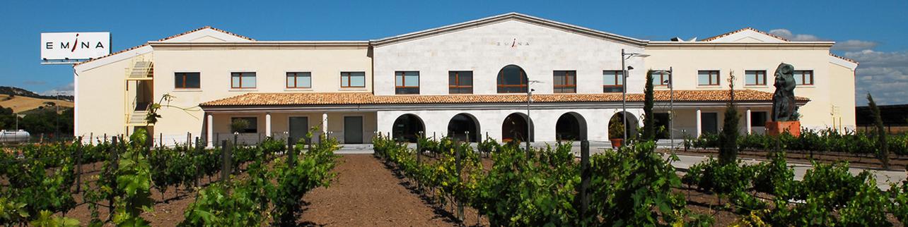 Bodega Emina (Grupo Matarromera) Bodega Emina (Grupo Matarromera)