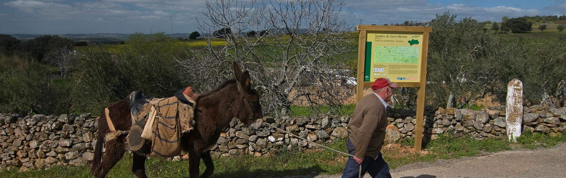 Cumbres de San Bartolomé Guía Repsol