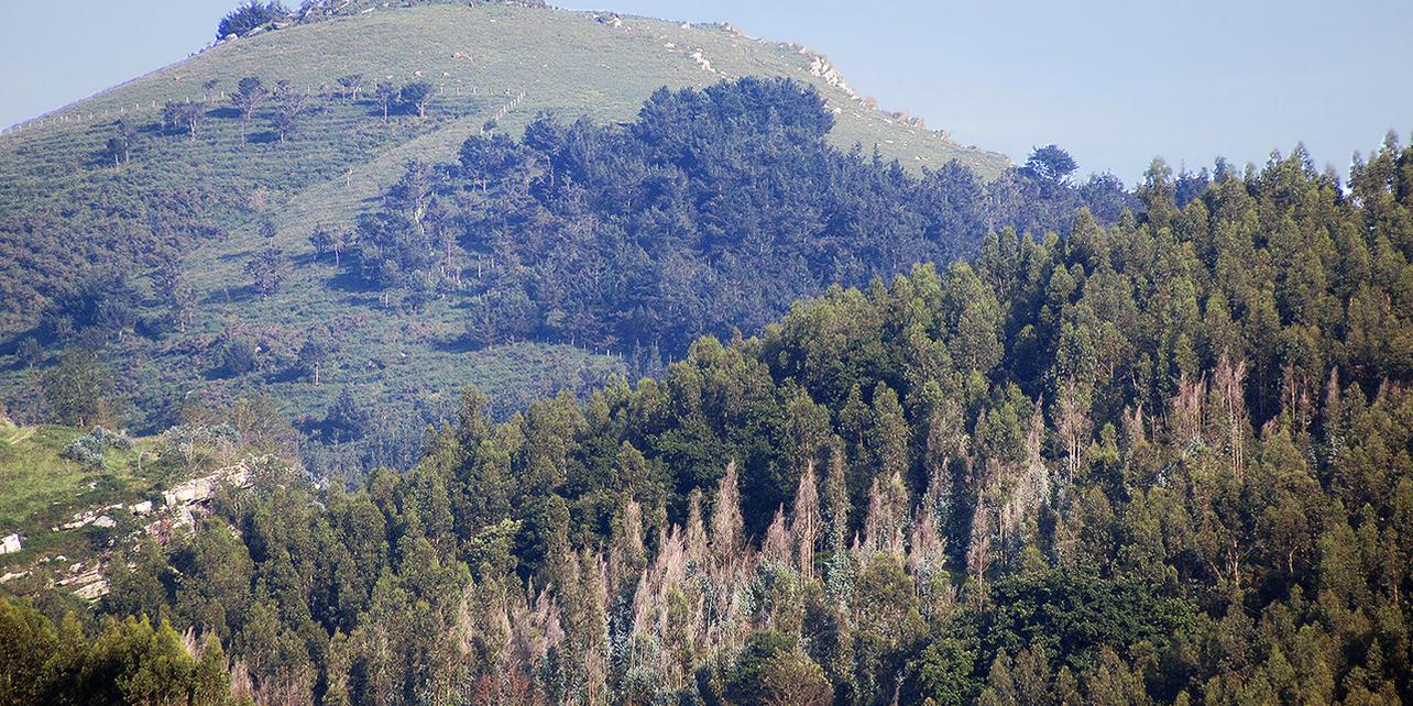 Monte Dobra Monte Dobra