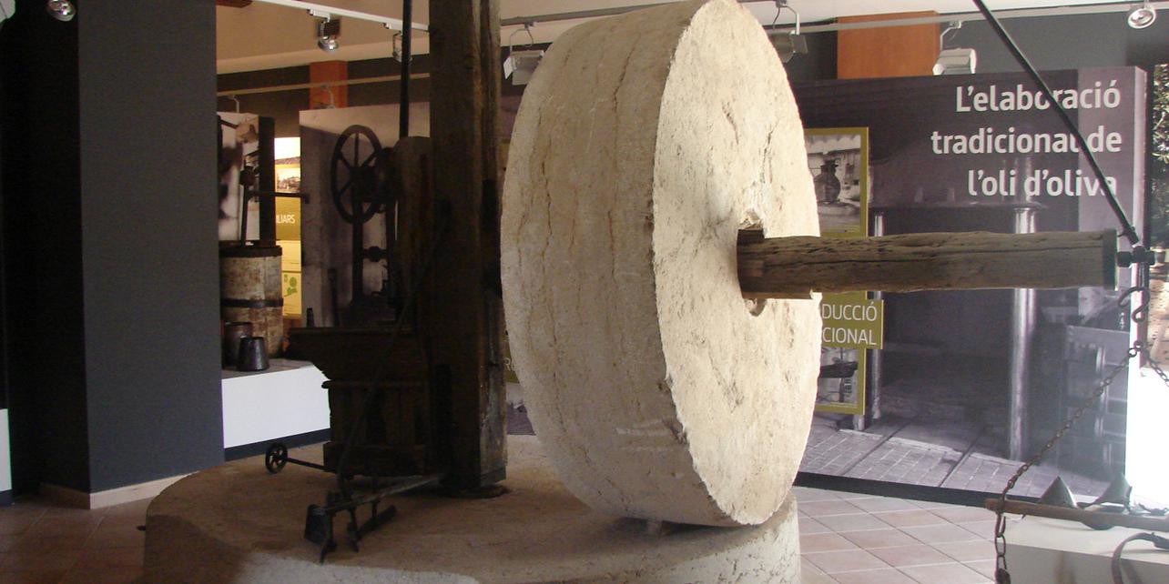 Museu de la Vida a la Plana Museu de la Vida a la Plana