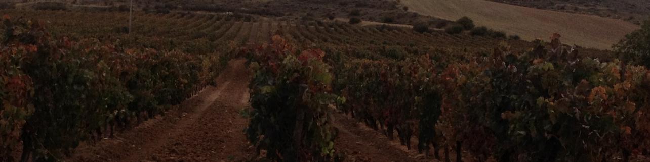 Picres Vinicola Picres Vinicola