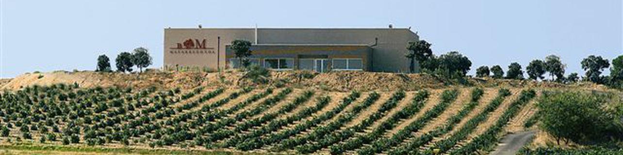 Bodegas y Pagos Matarredonda SL Bodegas y Pagos Matarredonda SL