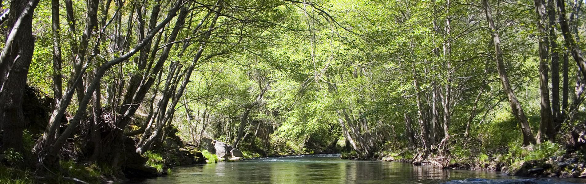 Toral de los Vados Guía Repsol