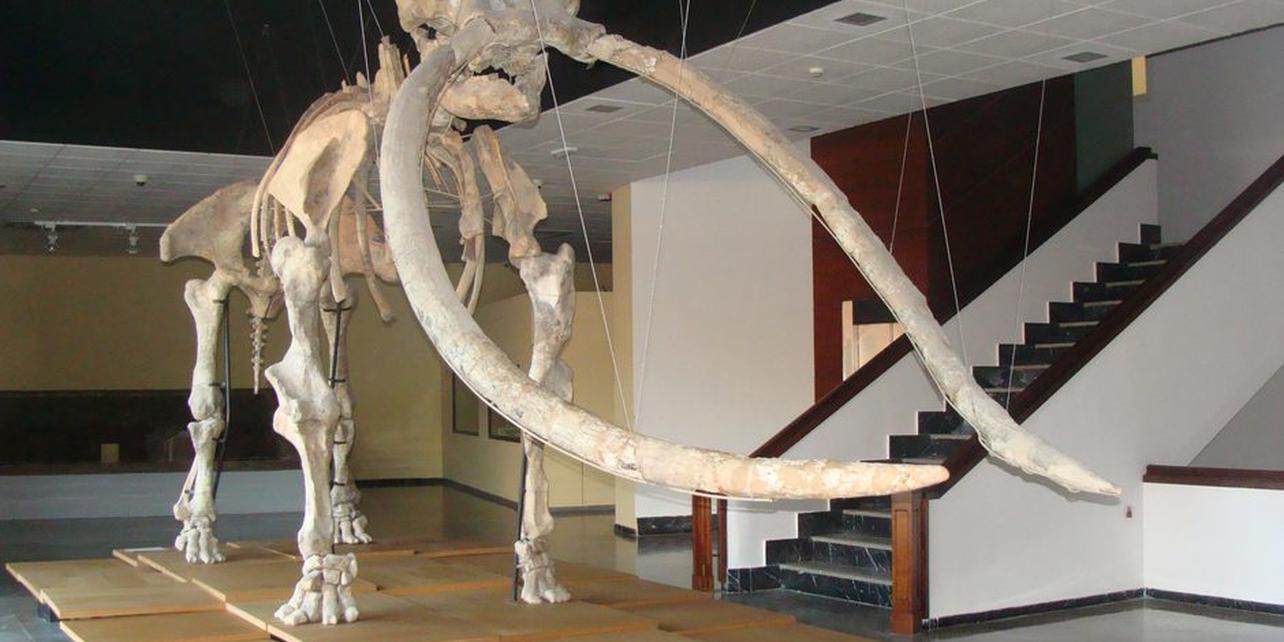 Museo Provincial Museo Provincial