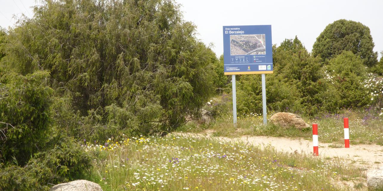 Área Recreativa El Berzalejo Área Recreativa El Berzalejo