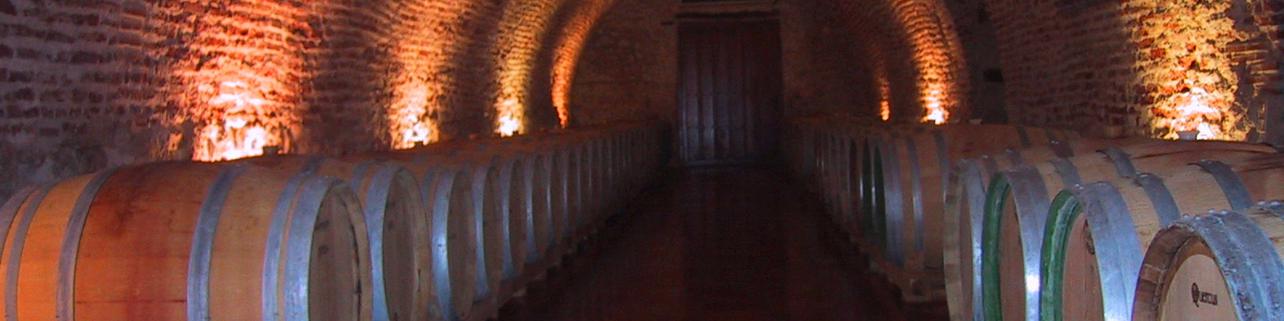 Bodega Renacimiento (Grupo Matarromera) Bodega Renacimiento (Grupo Matarromera)