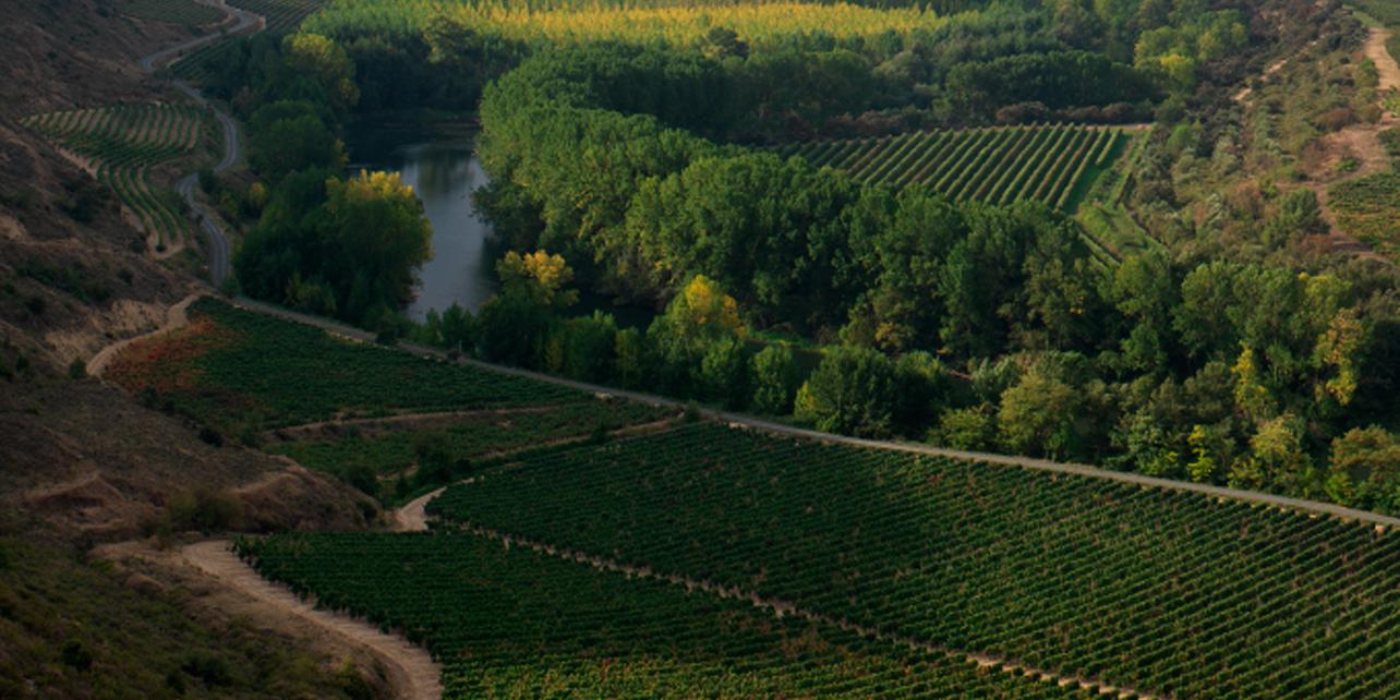 Bodegas Luberri Monje Amestoy Bodegas Luberri Monje Amestoy