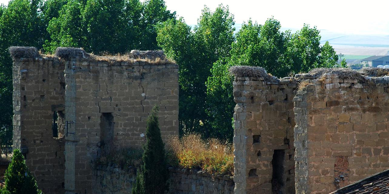 Muralla Muralla