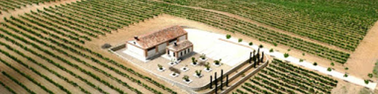 Bodegas Frontaura Bodegas Frontaura