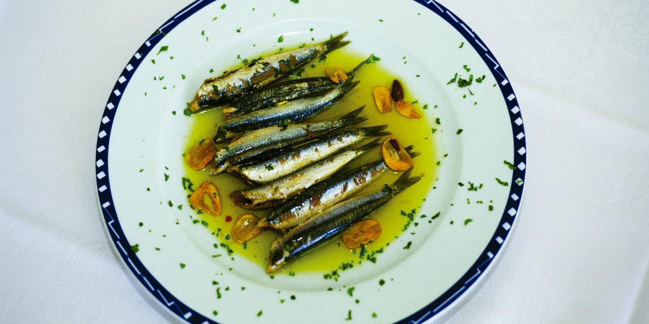 Boquerón victoriano Boquerón victoriano