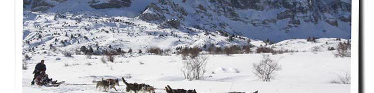 Mushing activo en el valle de Tena Mushing activo en el valle de Tena