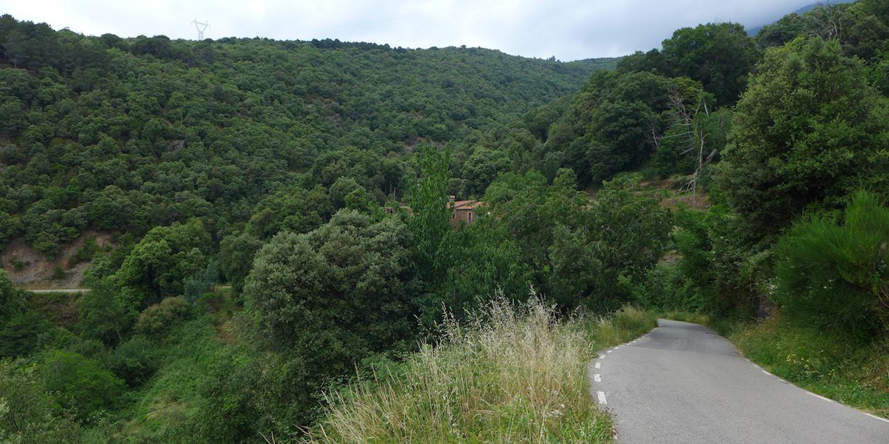 Parque Natural del Montseny Parque Natural del Montseny