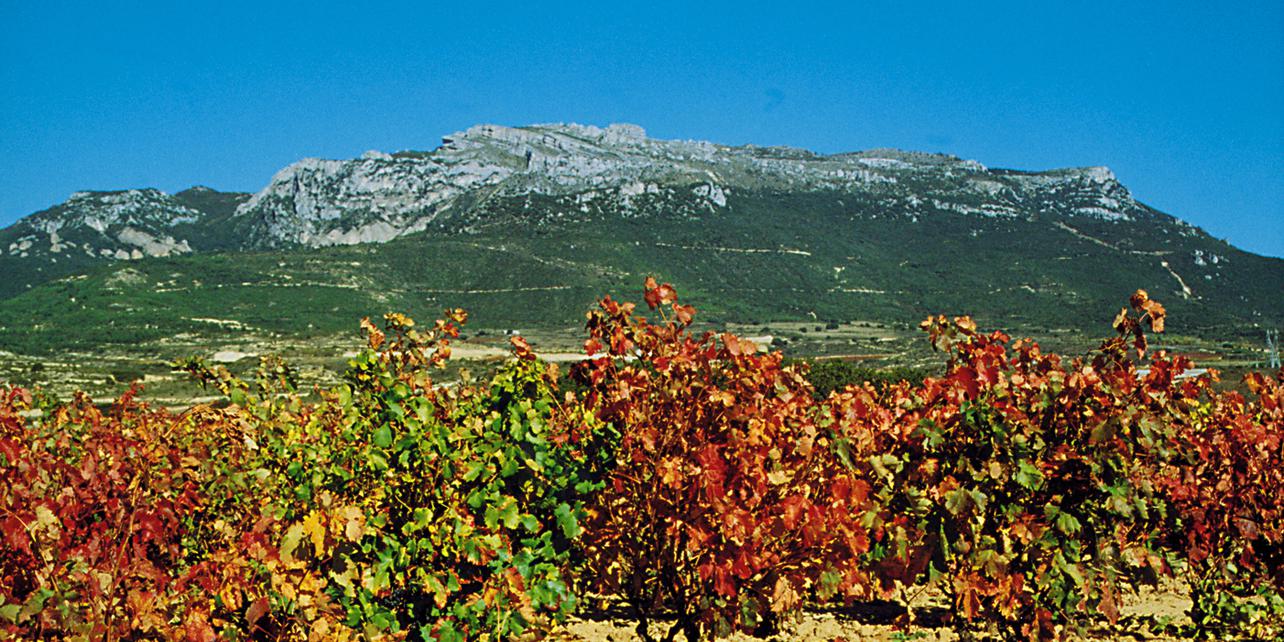 Monte Toloño Monte Toloño