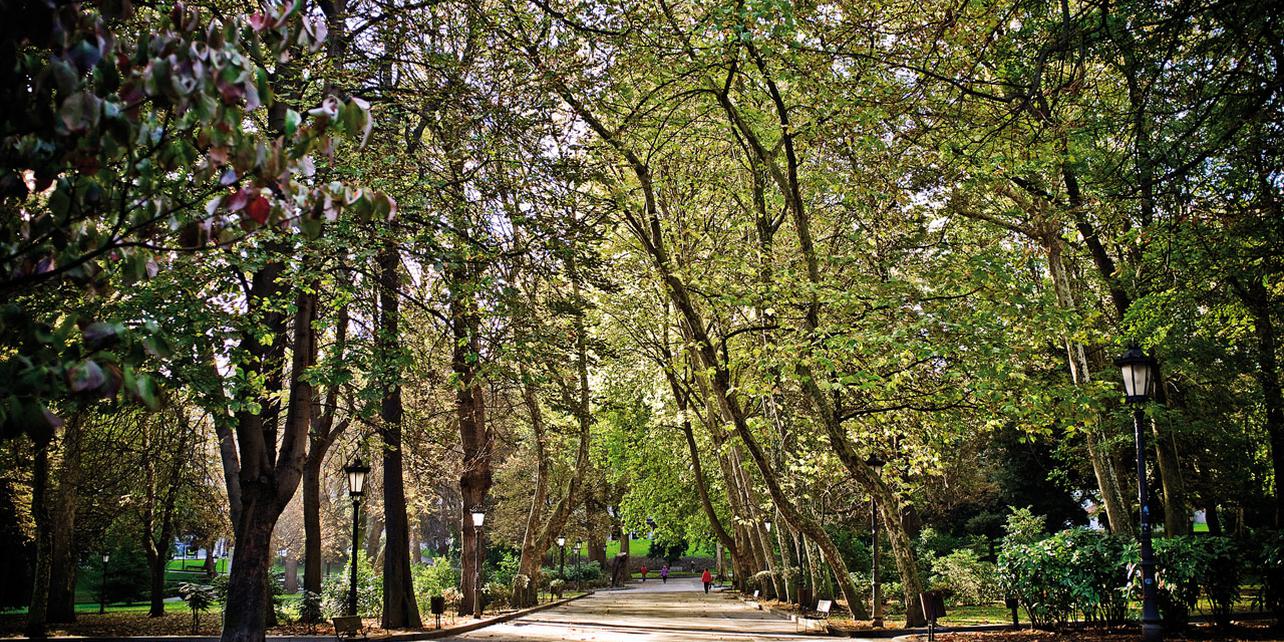 Parque San Francisco Parque San Francisco