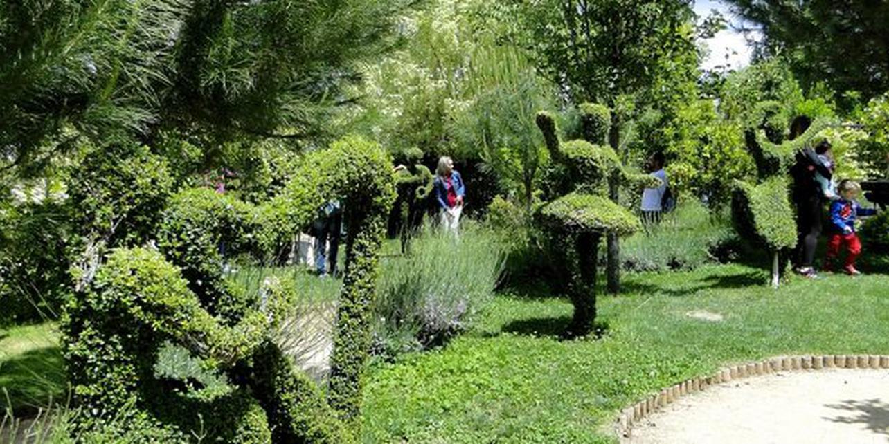 El Bosque Encantado El Bosque Encantado