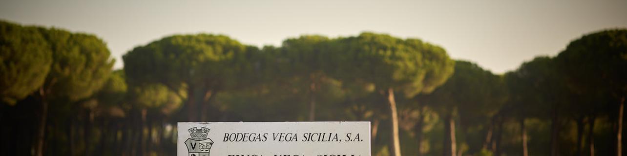 Bodegas Vega Sicilia S.A. Bodegas Vega Sicilia S.A.