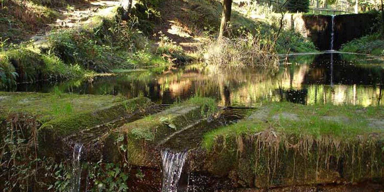 Parque Natural Monte Aloia Parque Natural Monte Aloia